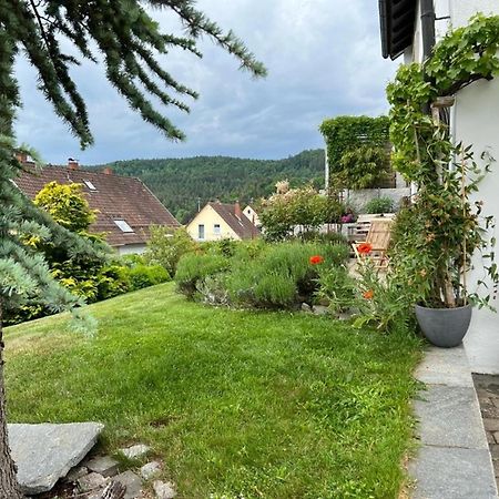Ferienwohnung Jardin De Lavande Fridingen an der Donau Ngoại thất bức ảnh