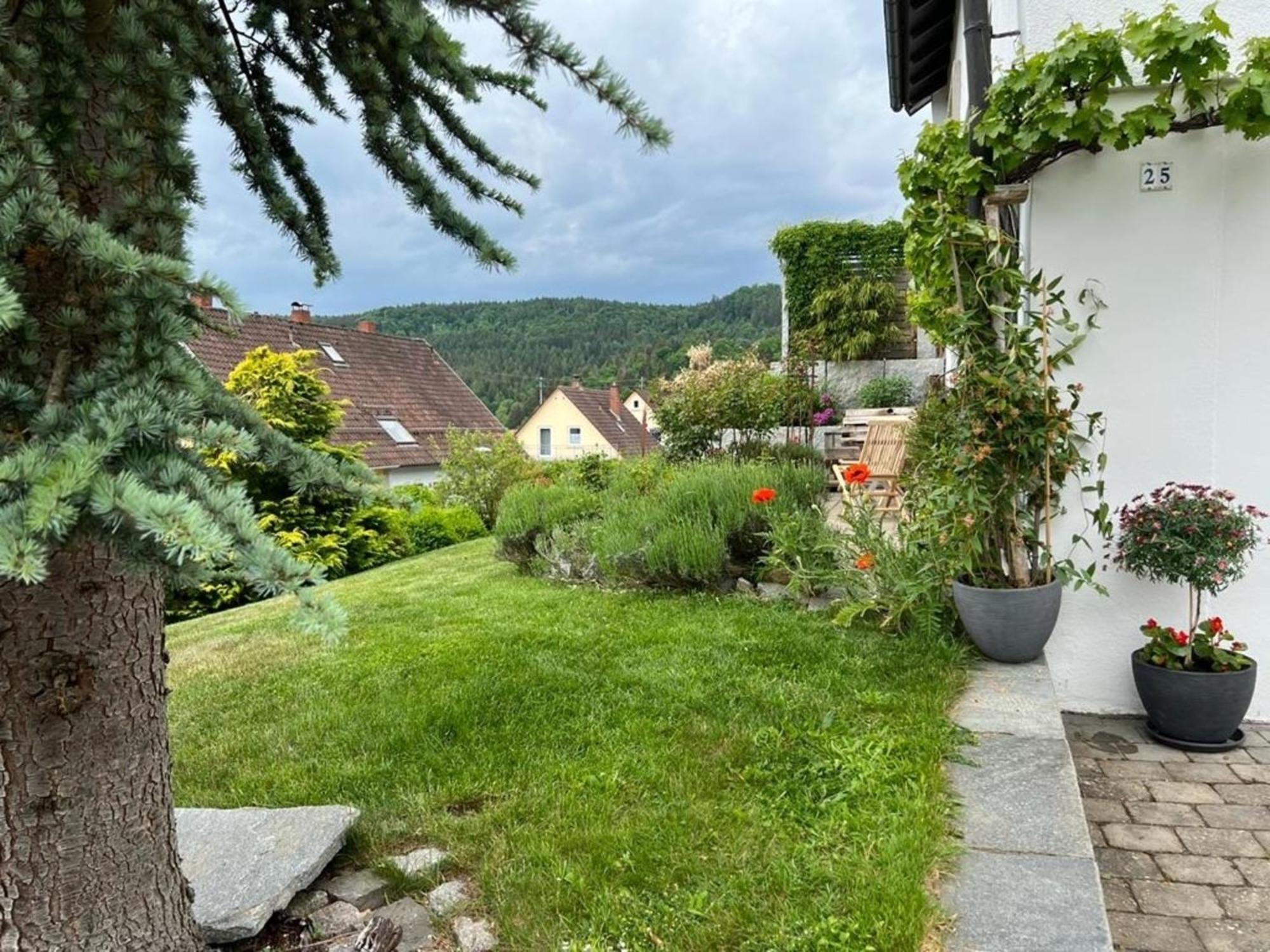 Ferienwohnung Jardin De Lavande Fridingen an der Donau Ngoại thất bức ảnh