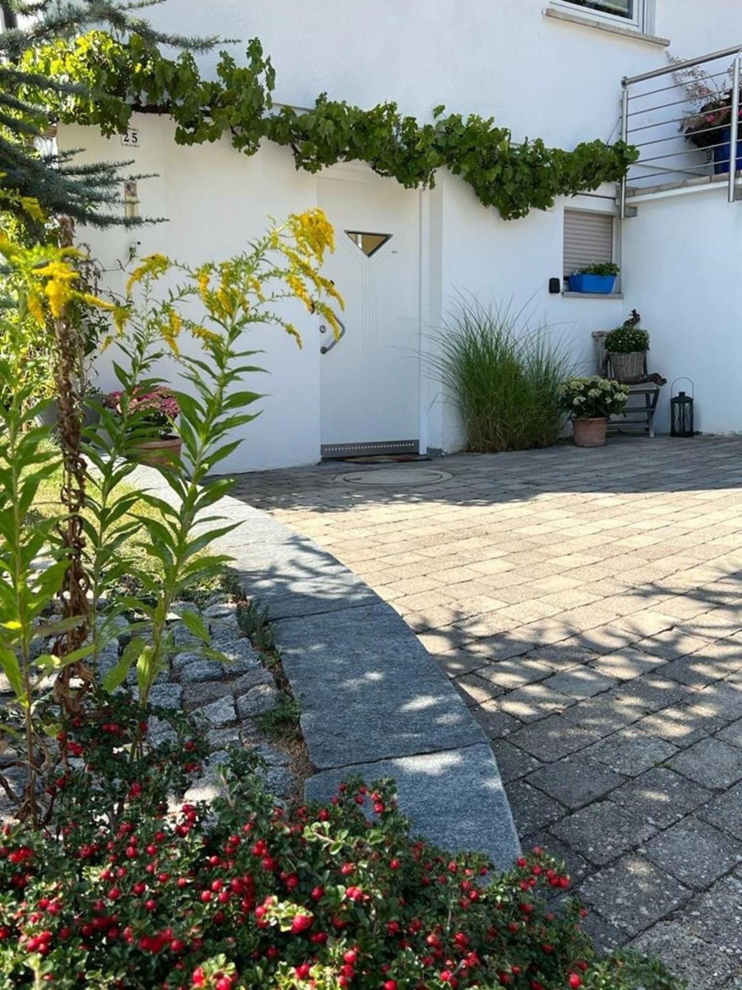 Ferienwohnung Jardin De Lavande Fridingen an der Donau Ngoại thất bức ảnh