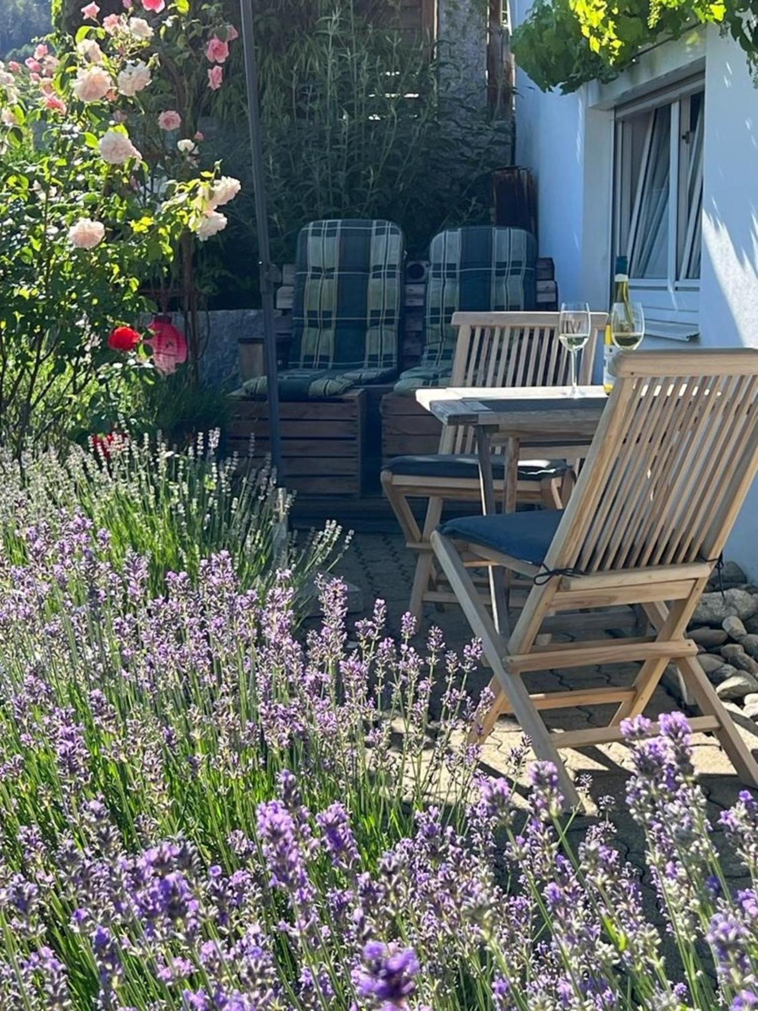 Ferienwohnung Jardin De Lavande Fridingen an der Donau Ngoại thất bức ảnh